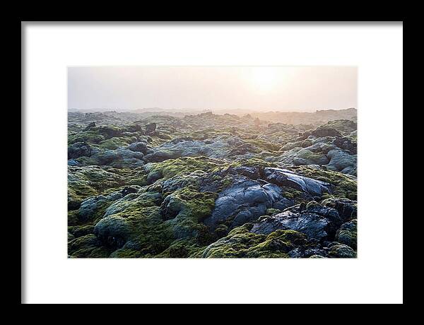 Carpet Of Moss Over Lava