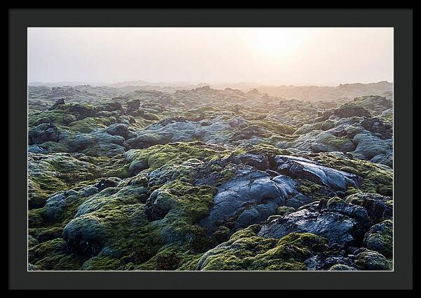 Carpet Of Moss Over Lava