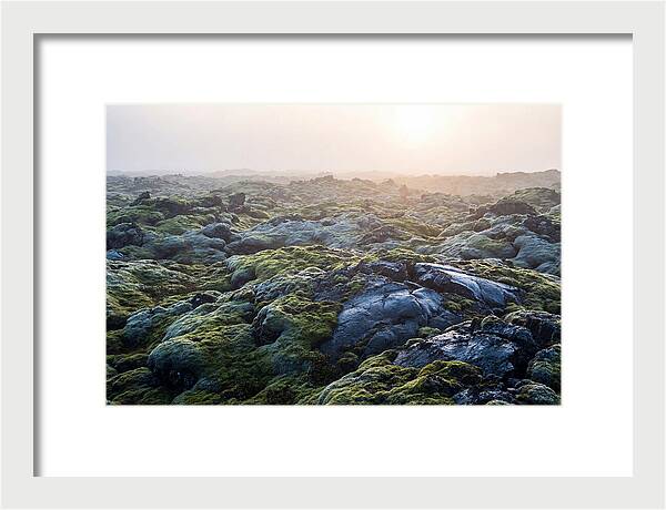 Carpet Of Moss Over Lava