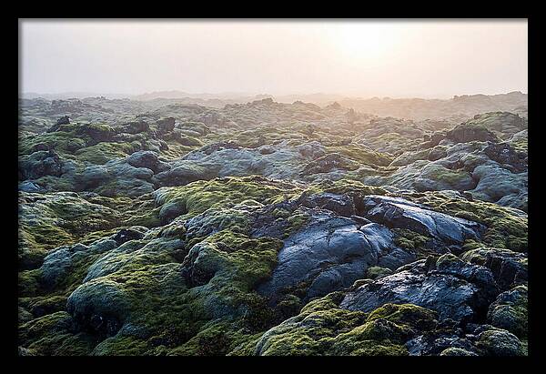 Carpet Of Moss Over Lava