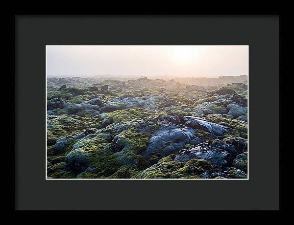 Carpet Of Moss Over Lava