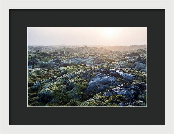 Carpet Of Moss Over Lava