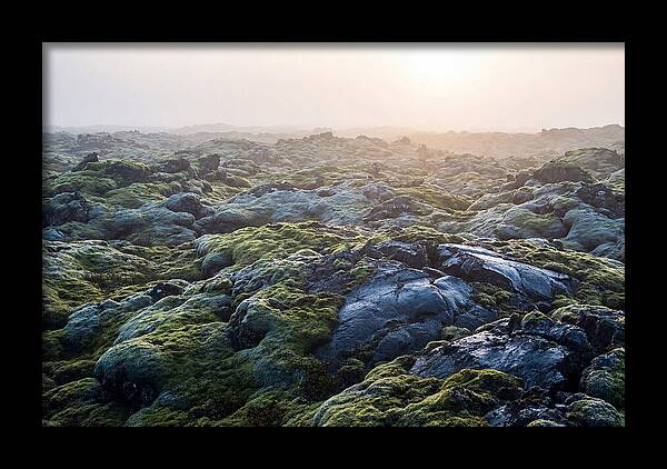 Carpet Of Moss Over Lava