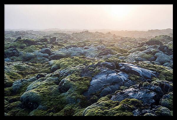 Carpet Of Moss Over Lava