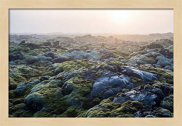 Carpet Of Moss Over Lava