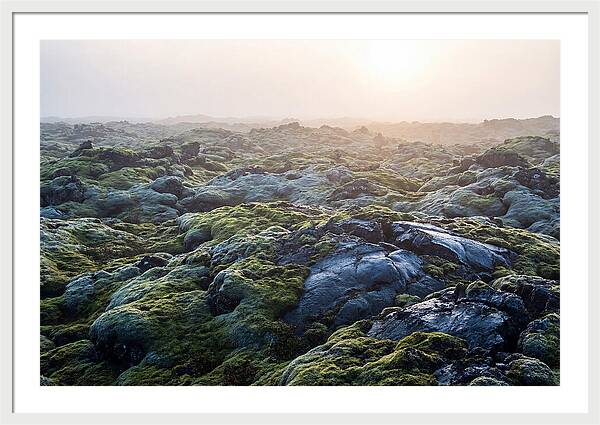 Carpet Of Moss Over Lava
