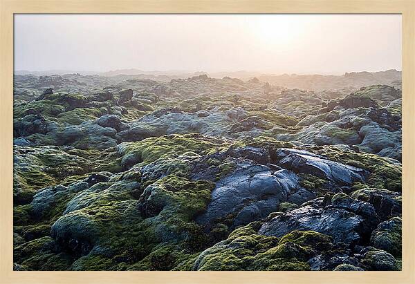 Carpet Of Moss Over Lava