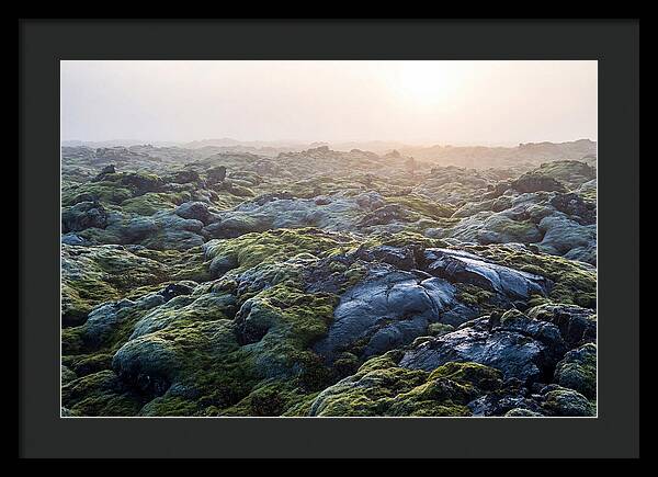 Carpet Of Moss Over Lava