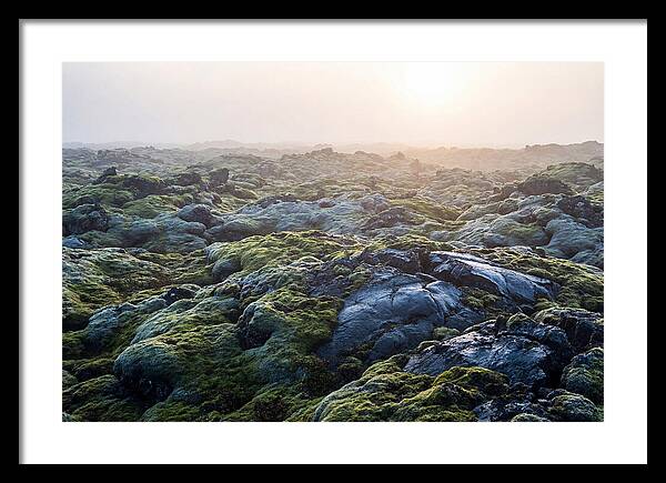 Carpet Of Moss Over Lava