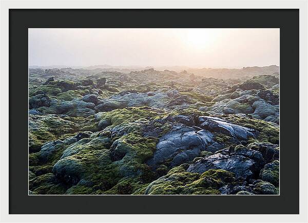 Carpet Of Moss Over Lava