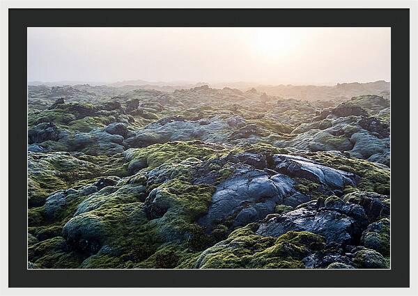 Carpet Of Moss Over Lava