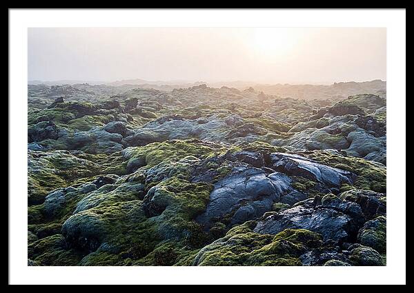 Carpet Of Moss Over Lava