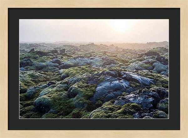 Carpet Of Moss Over Lava