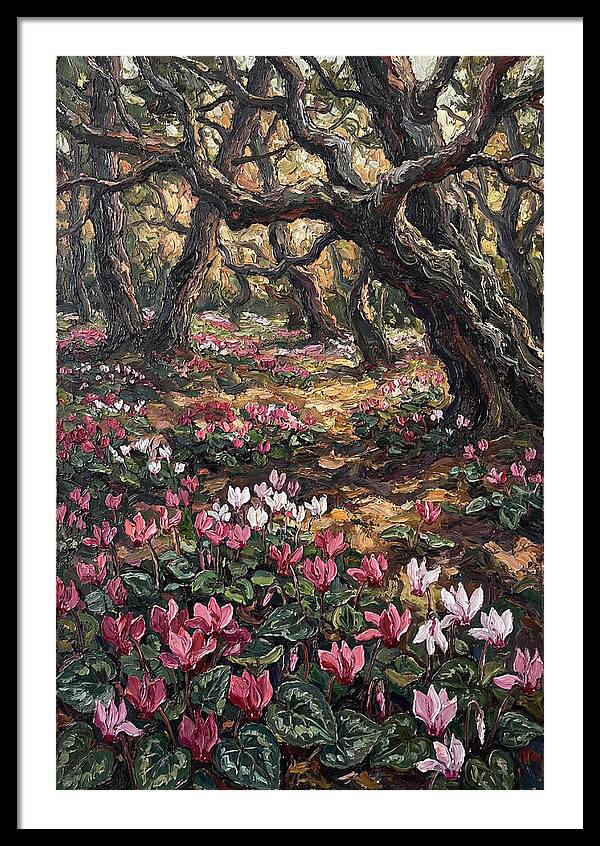 Carpet Of Wild Cyclamen