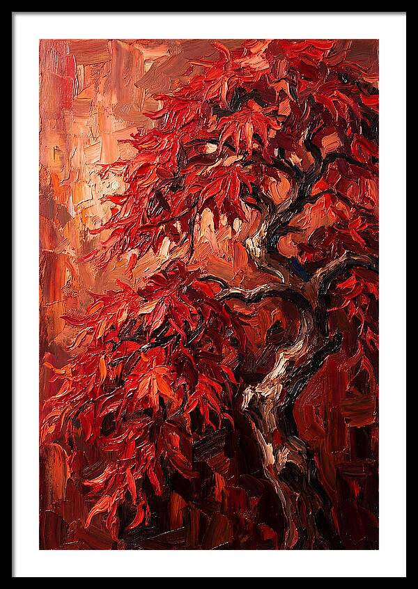 Cascading Red Japanese Maple