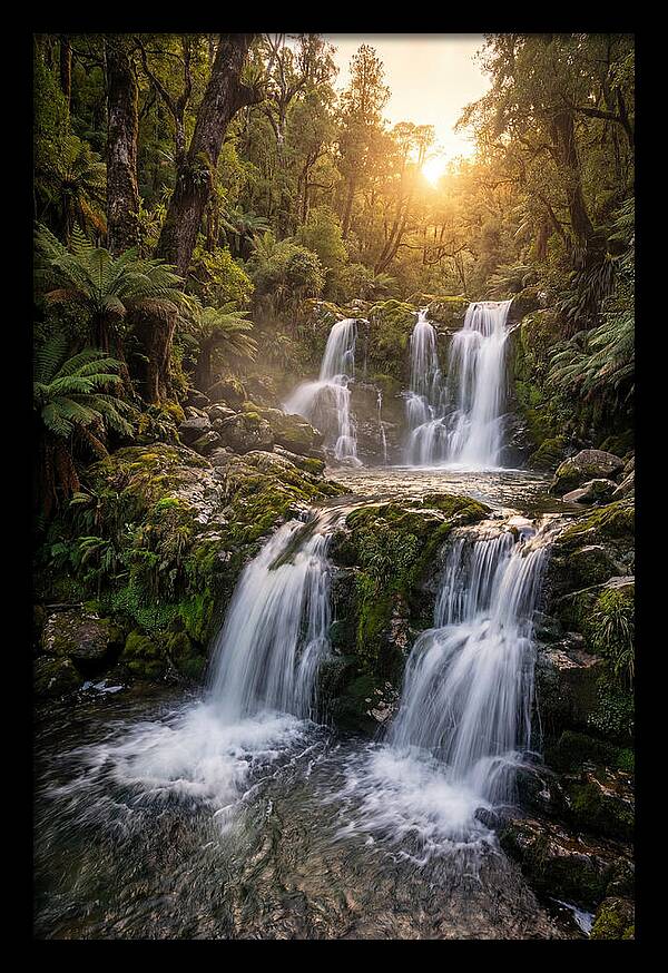 Cascading Serenity At Cataract Falls
