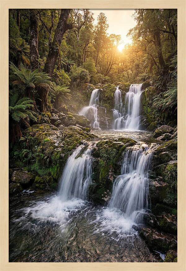 Cascading Serenity At Cataract Falls