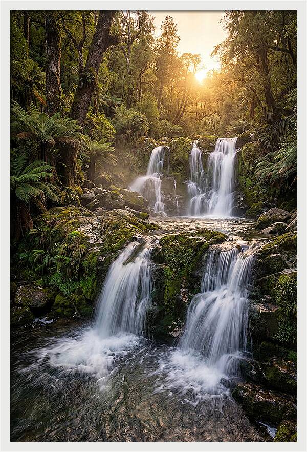 Cascading Serenity At Cataract Falls