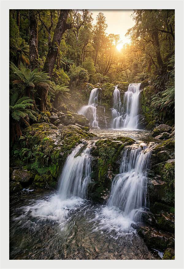 Cascading Serenity At Cataract Falls