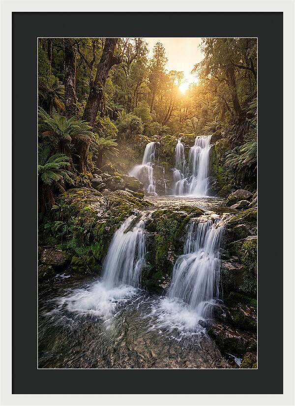 Cascading Serenity At Cataract Falls