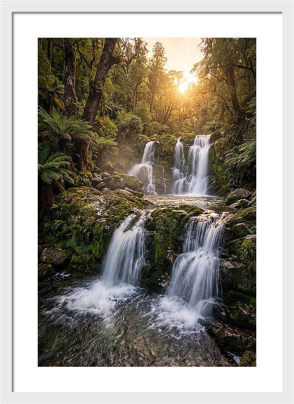 Cascading Serenity At Cataract Falls