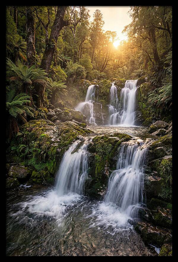Cascading Serenity At Cataract Falls