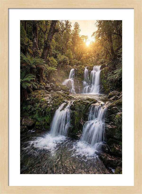 Cascading Serenity At Cataract Falls