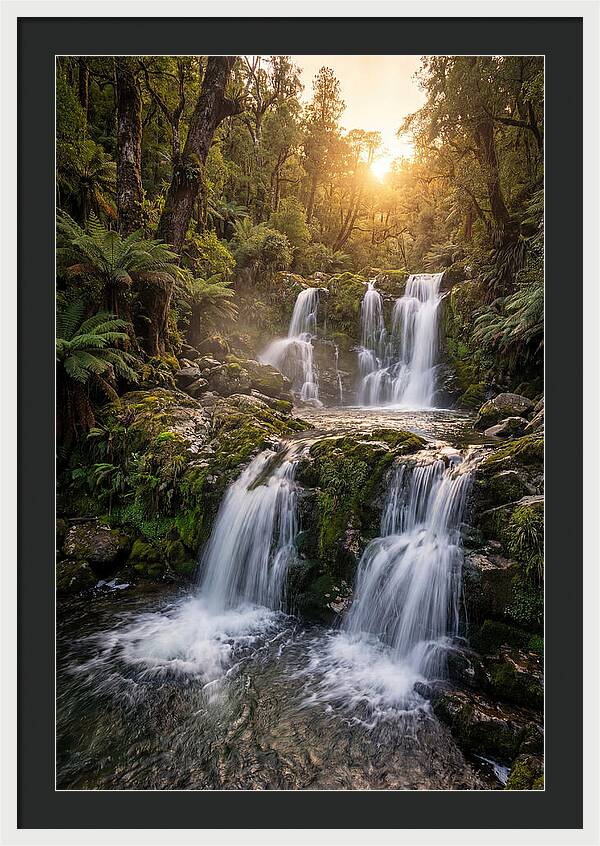 Cascading Serenity At Cataract Falls
