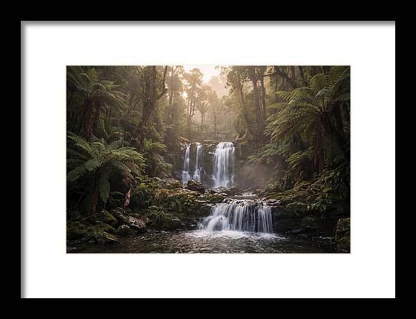 Cascading Waterfall In Jungle