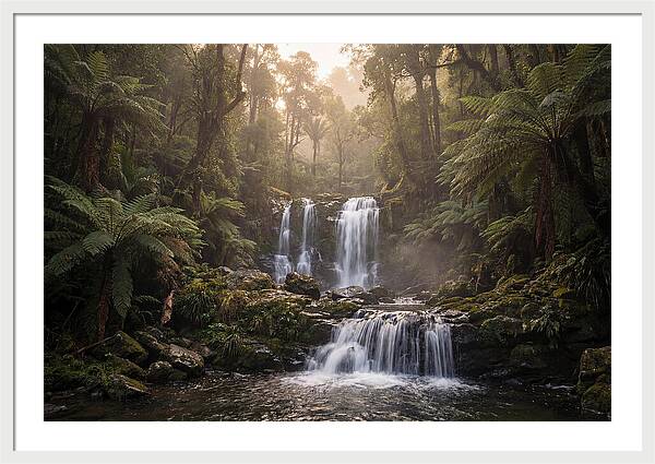 Cascading Waterfall In Jungle
