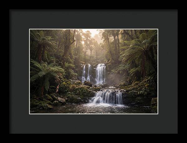 Cascading Waterfall In Jungle