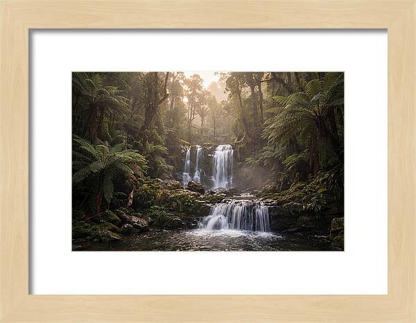 Cascading Waterfall In Jungle