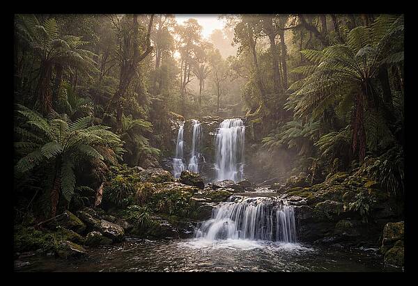 Cascading Waterfall In Jungle