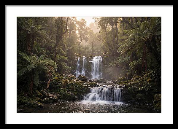 Cascading Waterfall In Jungle