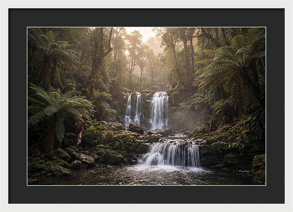 Cascading Waterfall In Jungle