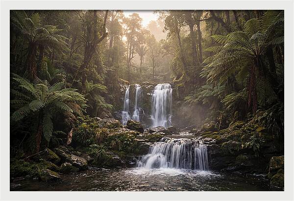 Cascading Waterfall In Jungle
