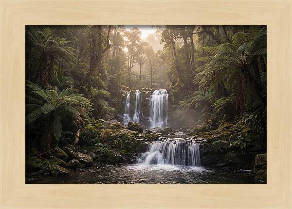 Cascading Waterfall In Jungle