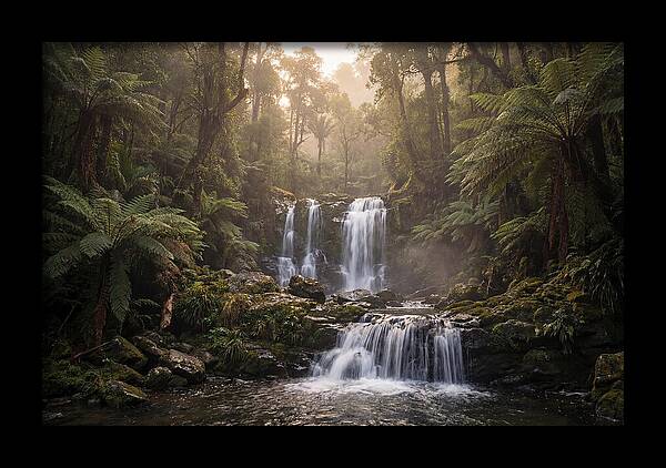 Cascading Waterfall In Jungle