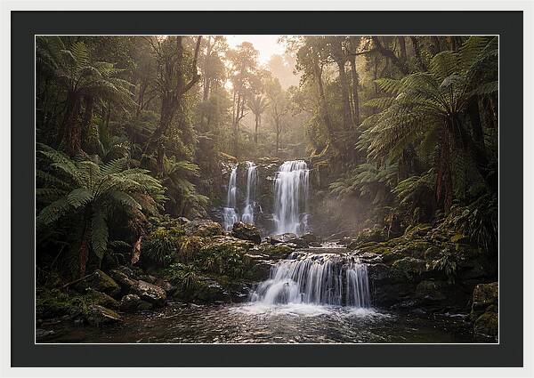 Cascading Waterfall In Jungle