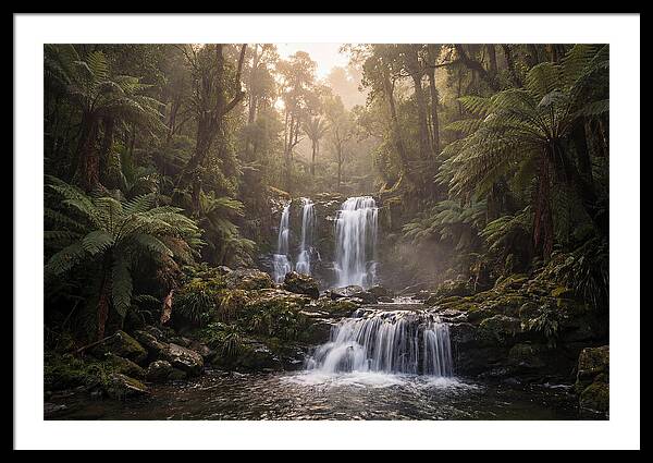 Cascading Waterfall In Jungle