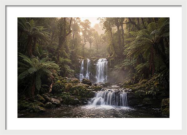 Cascading Waterfall In Jungle