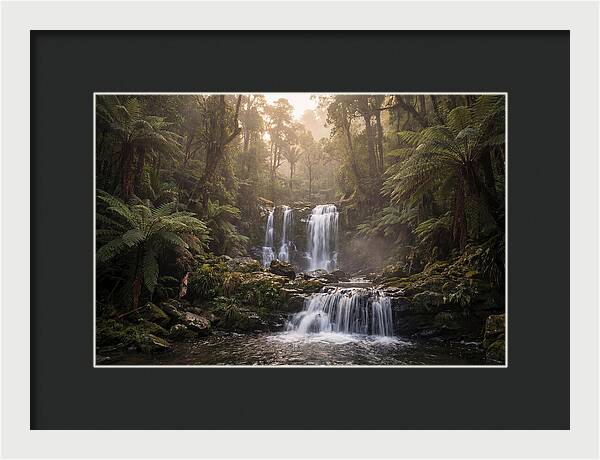 Cascading Waterfall In Jungle