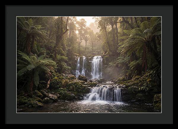 Cascading Waterfall In Jungle