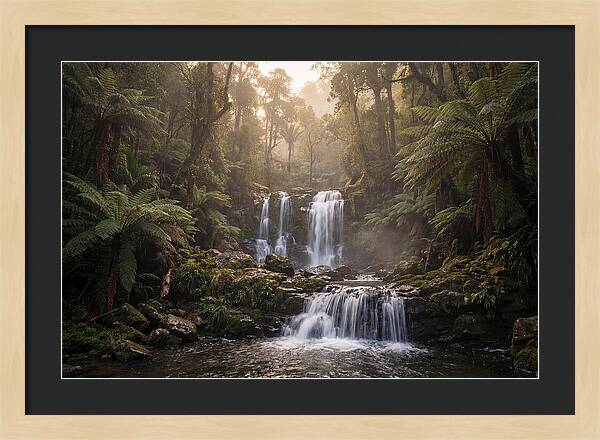 Cascading Waterfall In Jungle