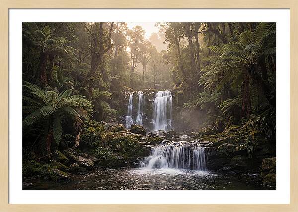Cascading Waterfall In Jungle