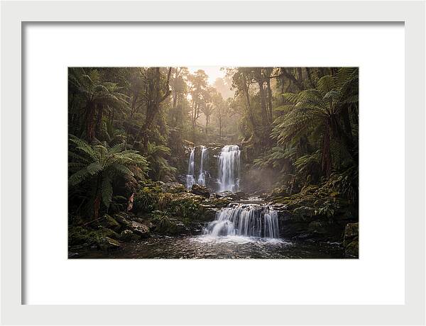 Cascading Waterfall In Jungle