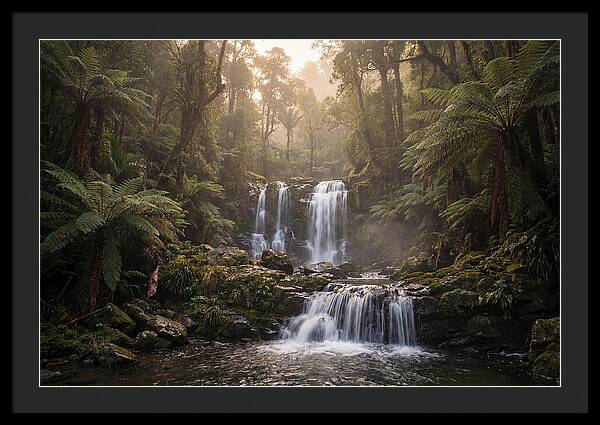 Cascading Waterfall In Jungle