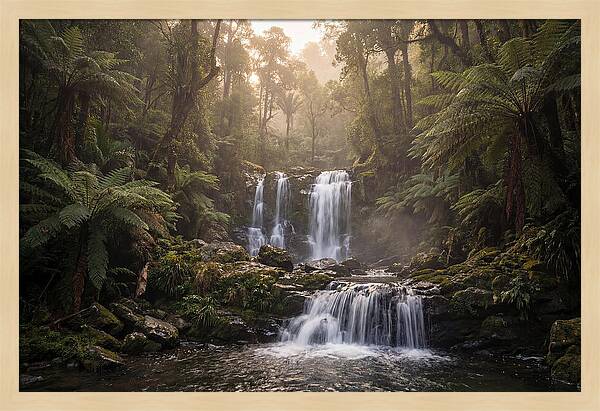 Cascading Waterfall In Jungle