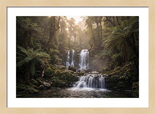 Cascading Waterfall In Jungle