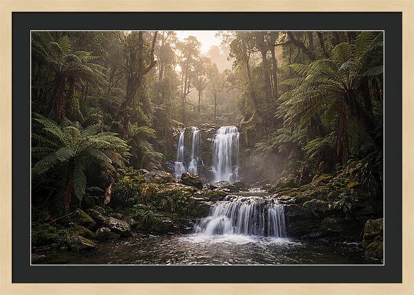 Cascading Waterfall In Jungle